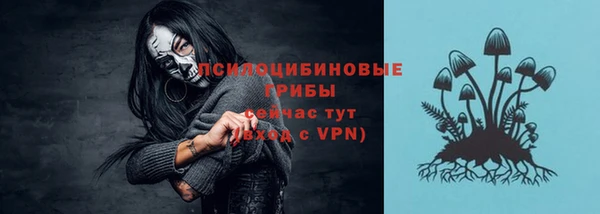 прущие грибы Магас