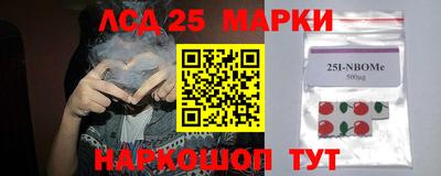 кокс Бийск