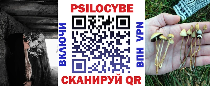Галлюциногенные грибы Psilocybine cubensis  Стерлитамак 