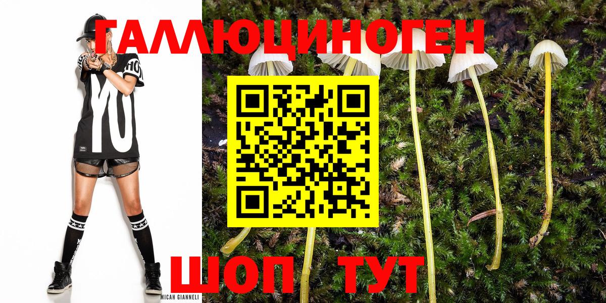 Псилоцибиновые грибы мицелий Стерлитамак