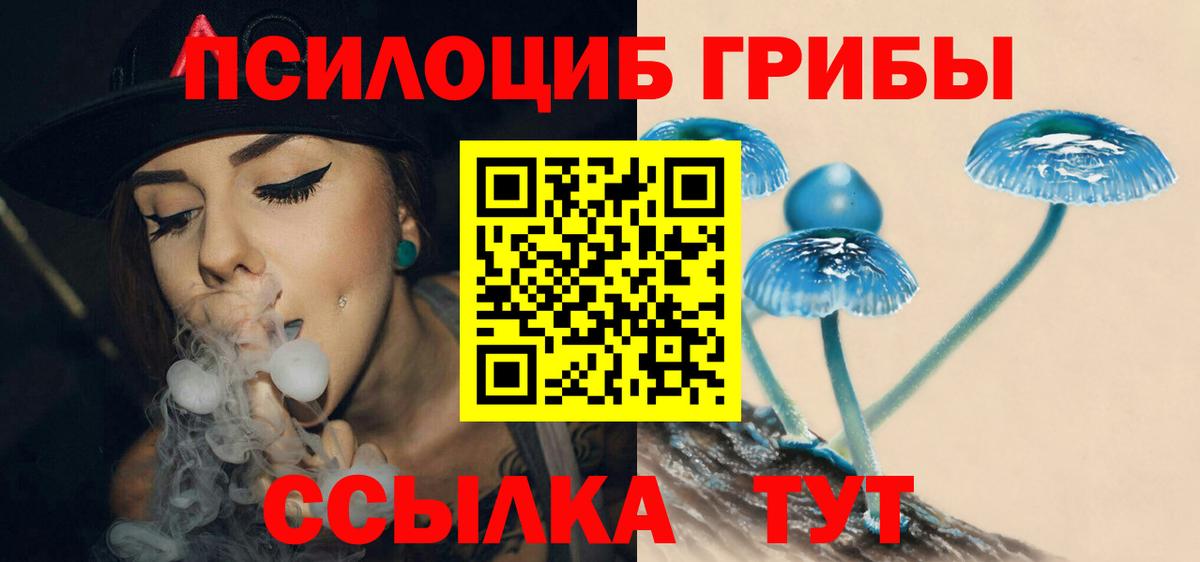 Стерлитамак  Галлюциногенные грибы мухоморы  Вход с VPN 